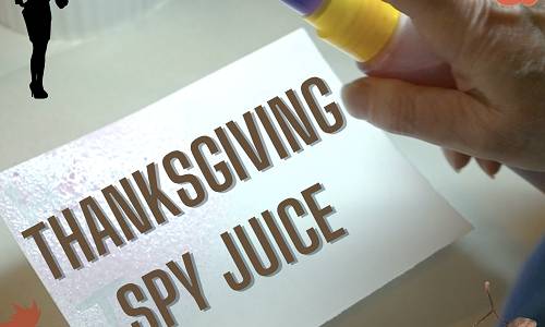 Send a Secret Message with Thanksgiving Spy Juice
