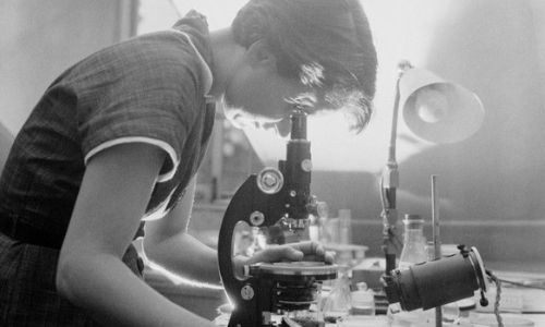 The Matilda Effect on Women in STEM